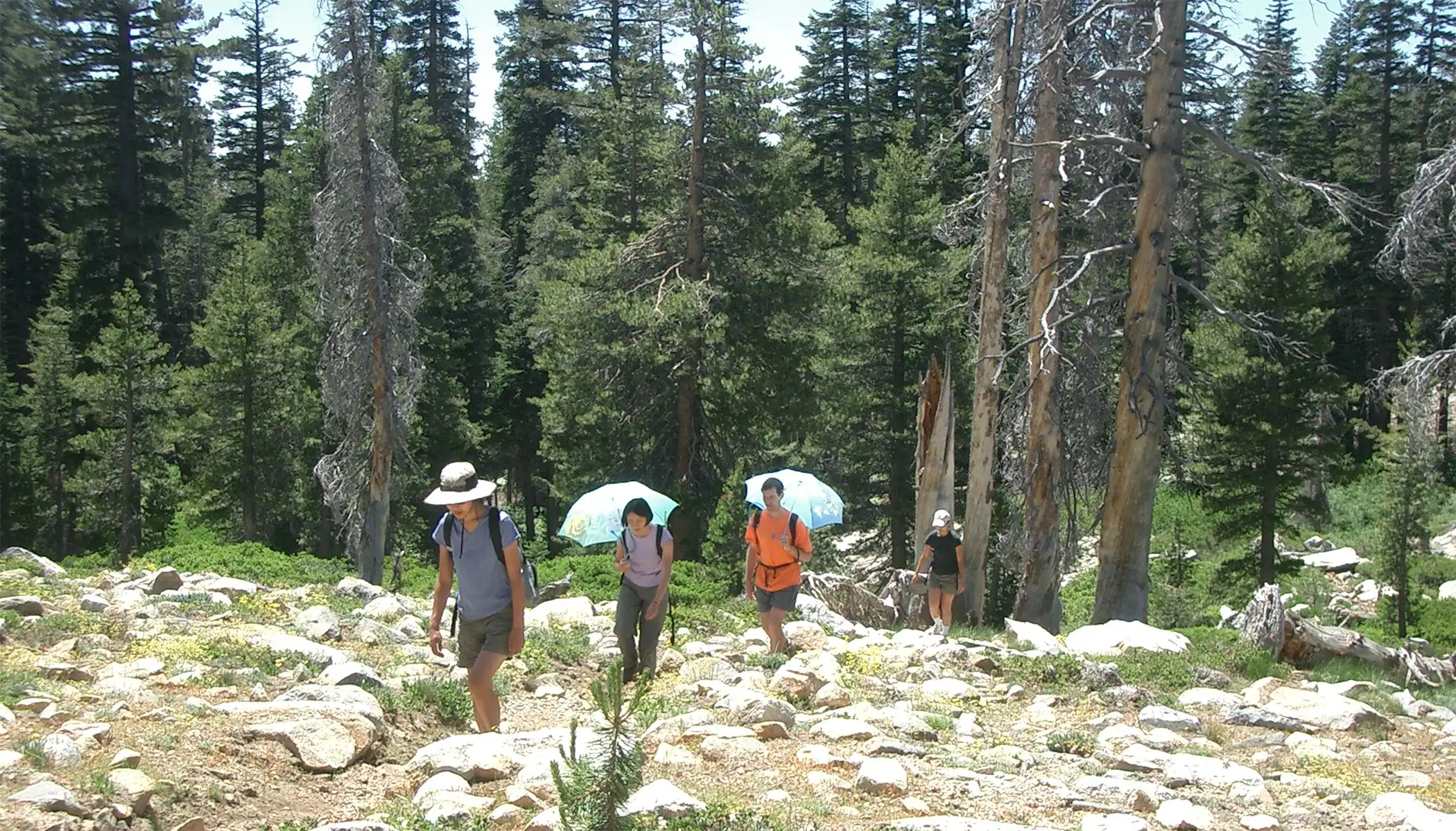 VPYJ employees on a hike
